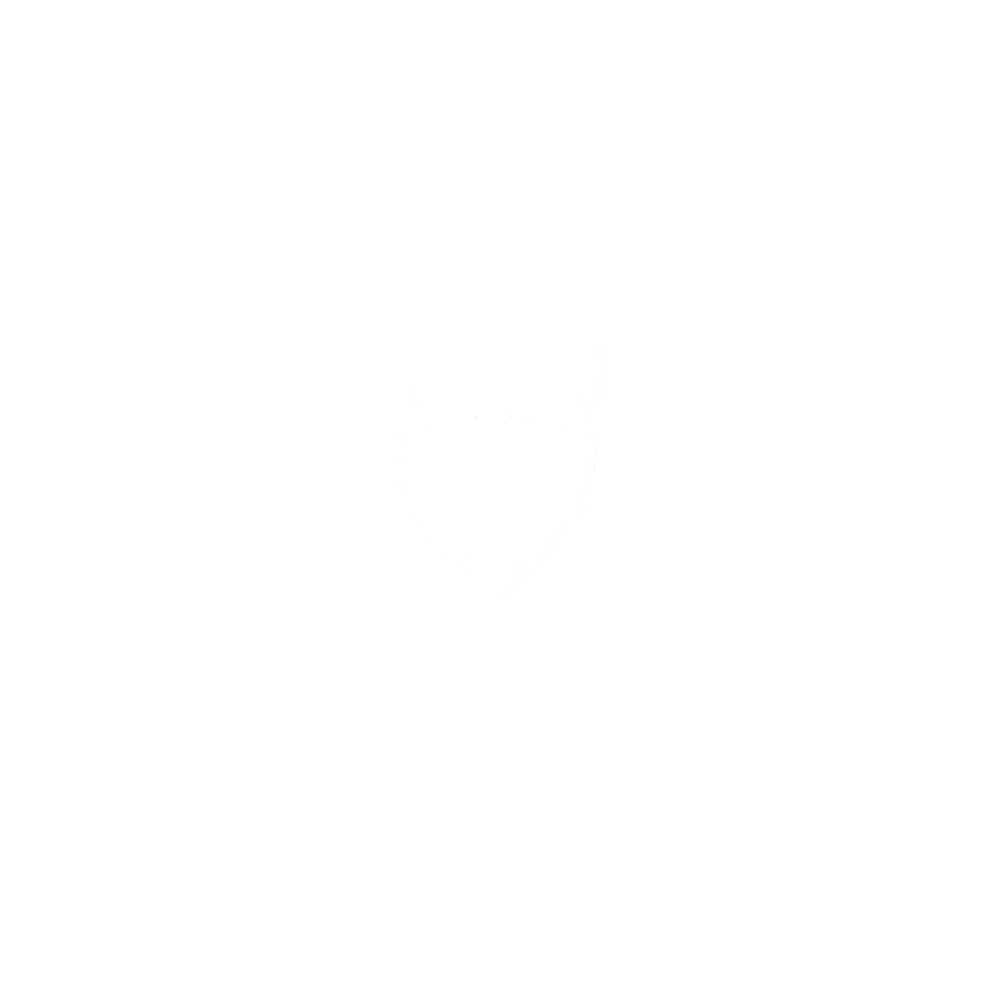 The IT Guy Logo